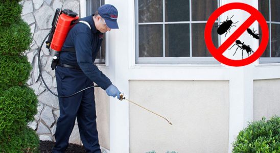 Ağlı Böcek ve Haşere İlaçlama böcek ilaçlama ve haşere kontrolü — ilaclama-tr.com